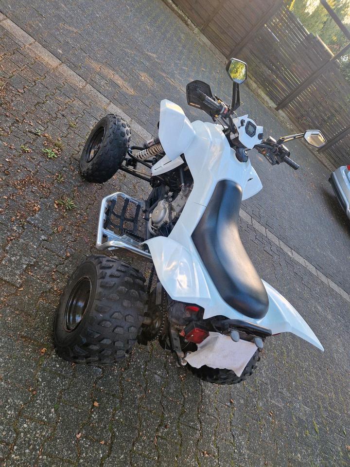  Gelöscht • Quad Dinli 450 2011 — photo 5