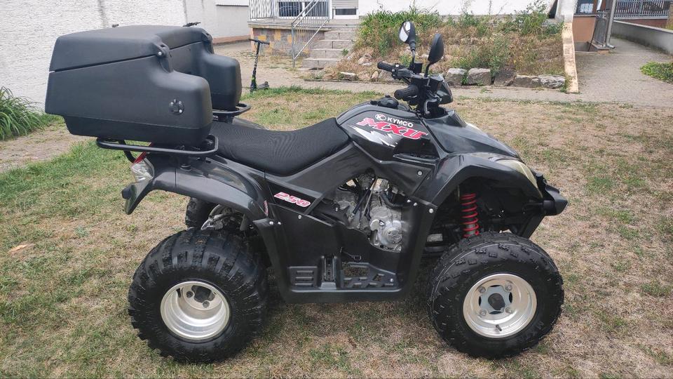 Kymco Gelöscht • ATV Quad Kimco 250 Automatik Neue T.U.V 2008 — rear view