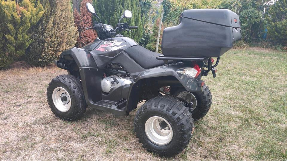 Kymco Gelöscht • ATV Quad Kimco 250 Automatik Neue T.U.V 2008 — photo 5