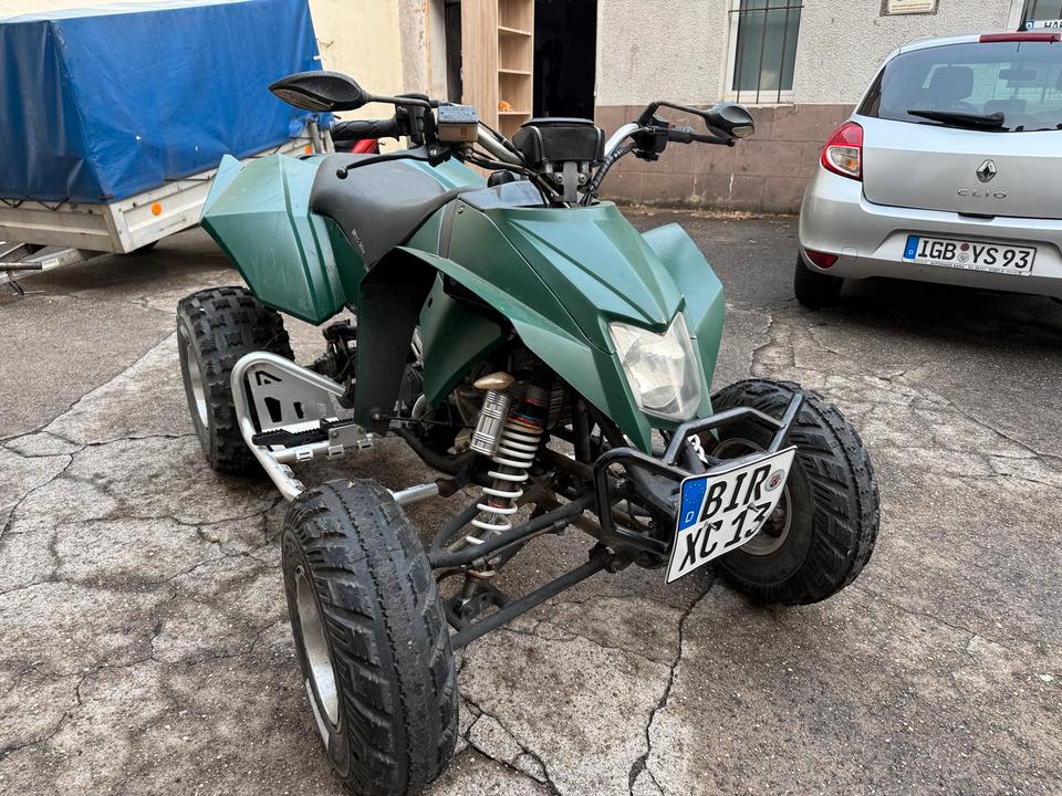 Weitere Motorräder Quad Bastler 2013 — rear view
