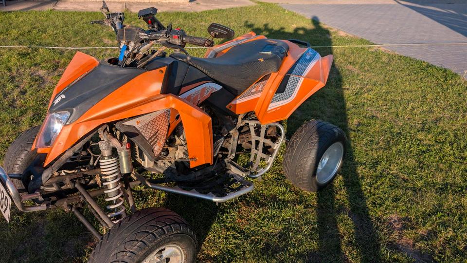 Weitere Motorräder Verkaufe Quad 300 ccm 2015 — вигляд ззаду