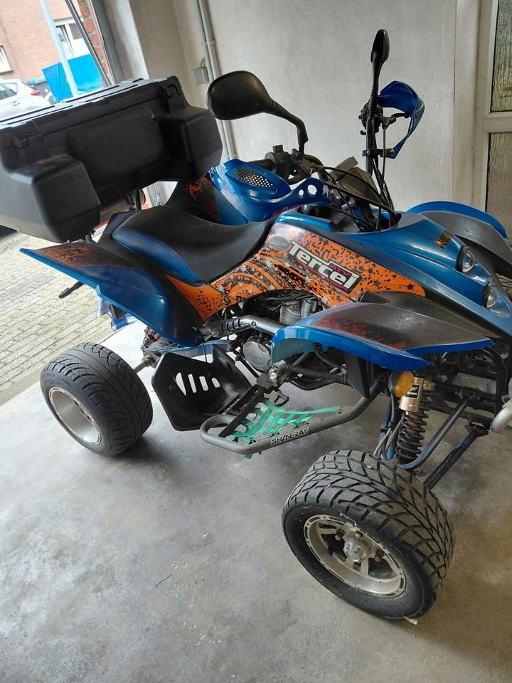 Weitere Motorräder Gelöscht • Quad Shineray 2011 — rear view