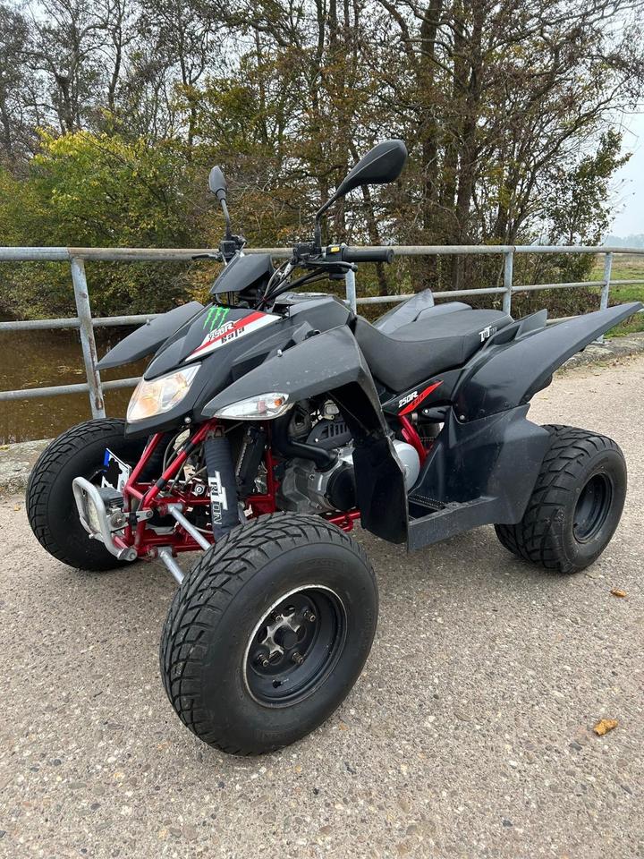  Gelöscht • Quad Triton Baja 250R 2011 — rear view
