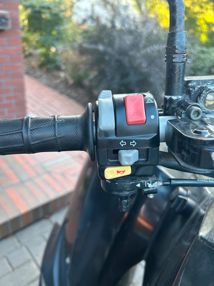 Gelöscht • Quad Triton Baja 250R 2011 — photo 5