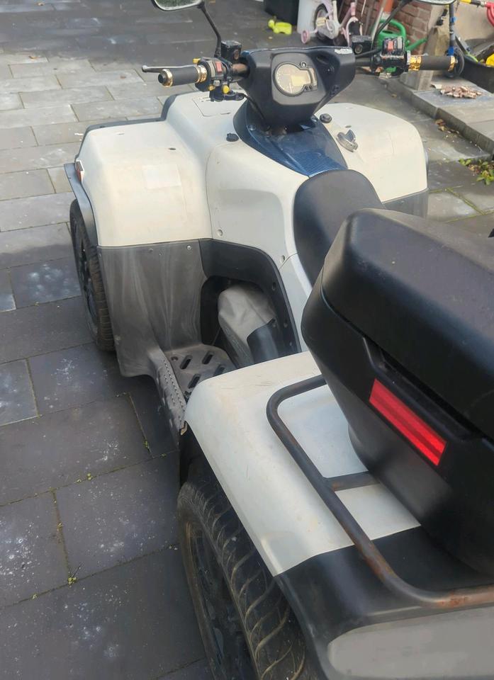  Quad Cectek EFI 500 Quadrift 2009 — photo 5