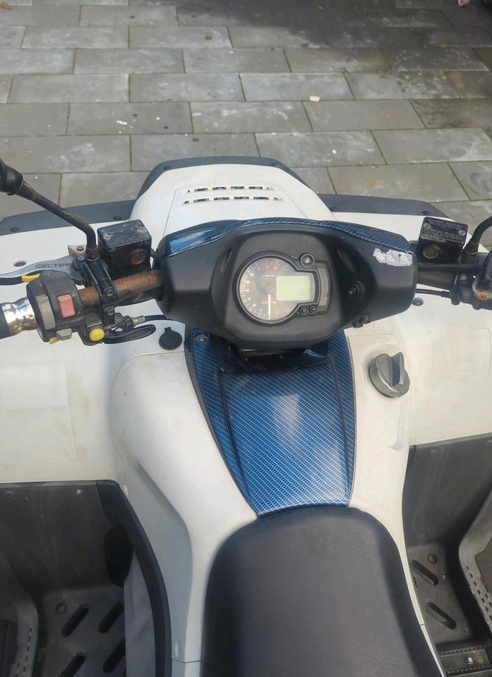  Quad Cectek EFI 500 Quadrift 2009 — photo 6
