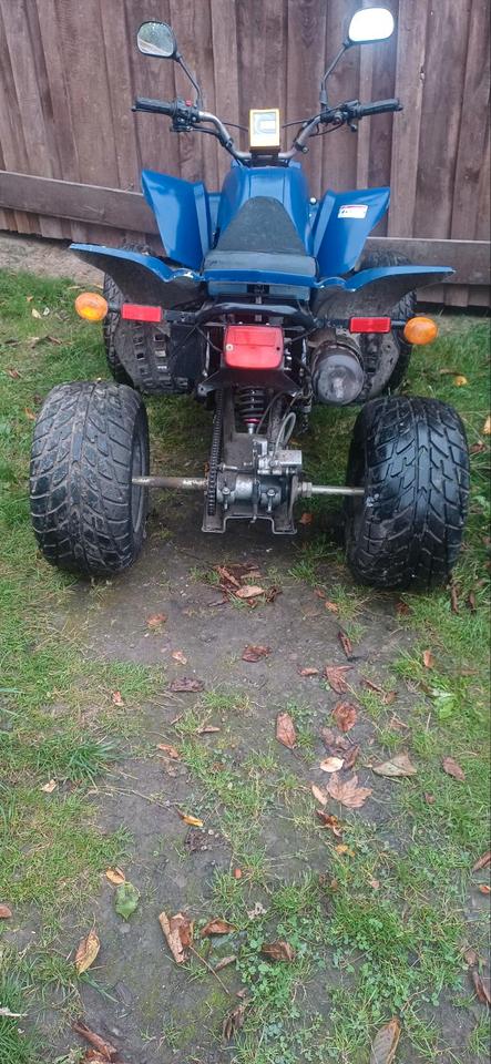 Weitere Motorräder Gelöscht • Quad 250ccm 2009 — rear view