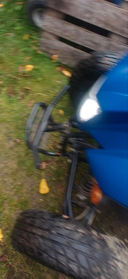 Weitere Motorräder Gelöscht • Quad 250ccm 2009 — photo 6