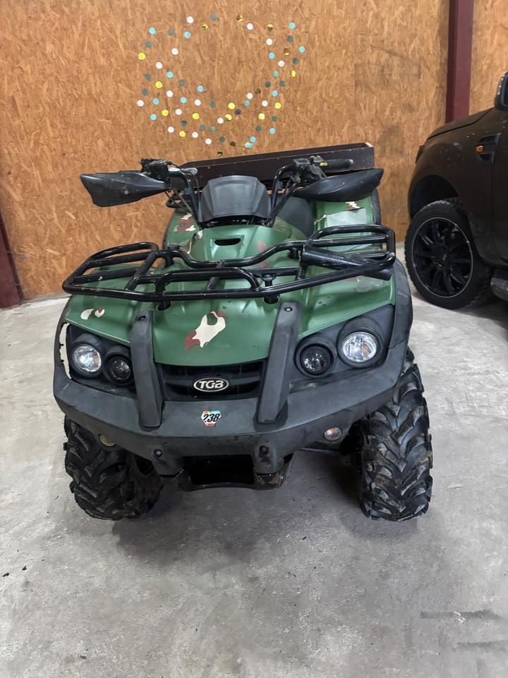  Gelöscht • ATV Quad TGB Blade 425ccm 2009 — rear view
