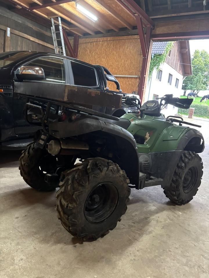  Gelöscht • ATV Quad TGB Blade 425ccm 2009 — engine 425 ccm
