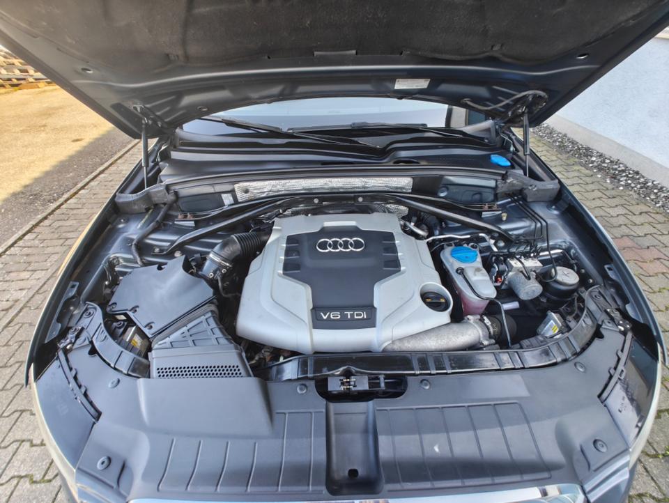 Audi Q5 2009 — photo 13