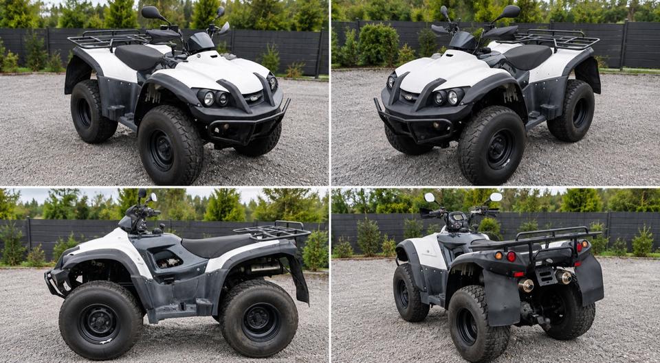TGB BLADE 525 4x2 2011 — vehicle for AFU Ukraine