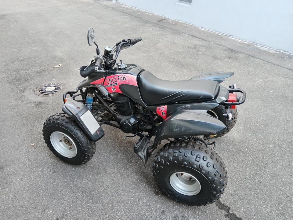 Honda Gelöscht • Quad ATV Barossa Cheetah 250 (TOP) 2005 — rear view