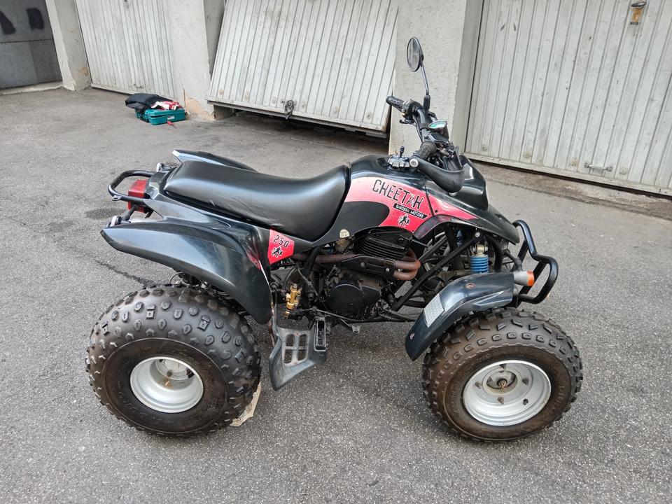 Honda Gelöscht • Quad ATV Barossa Cheetah 250 (TOP) 2005 — interior