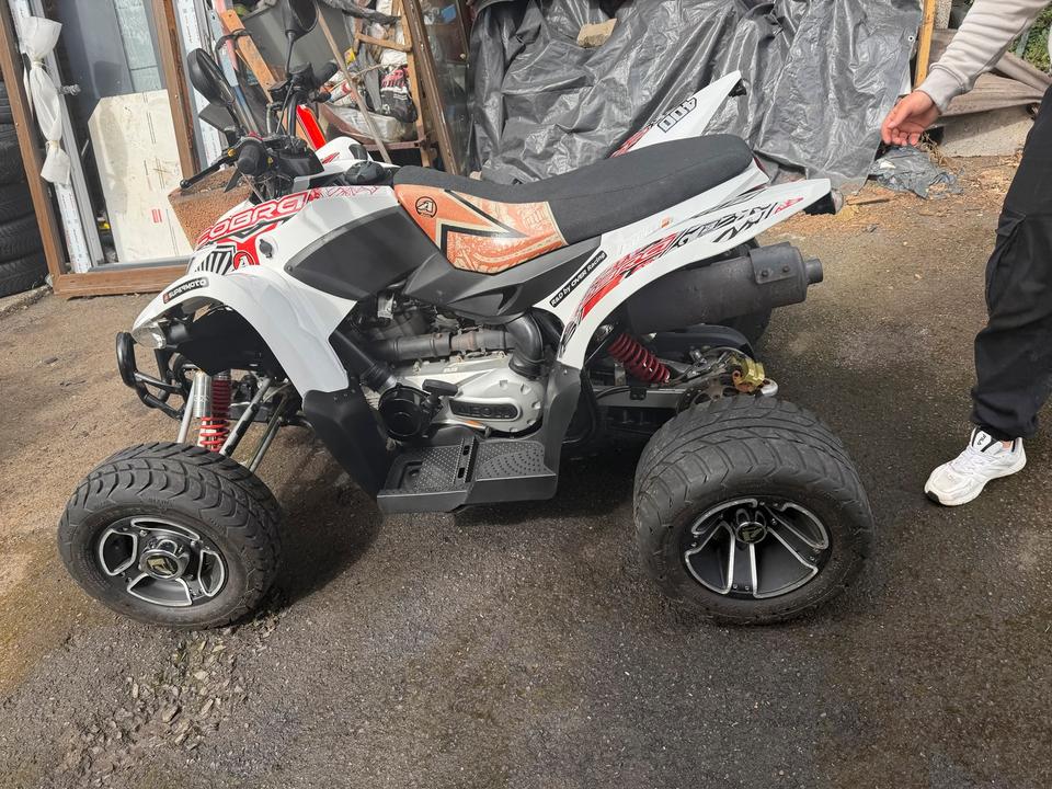 Weitere Motorräder Gelöscht • Aeon Cobra 400 ( ) —Top Optik Tüv bis 2028 -Tausch Möglich 2014 — photo 6