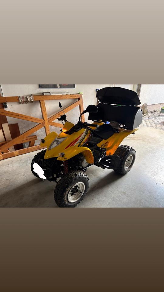 Kymco Quad Kymco KXR 250 2004 — photo 10