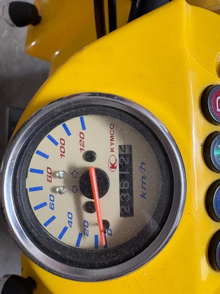 Kymco Quad Kymco KXR 250 2004 — photo 11