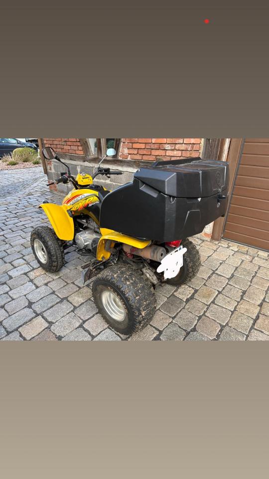 Kymco Quad Kymco KXR 250 2004 — rear view