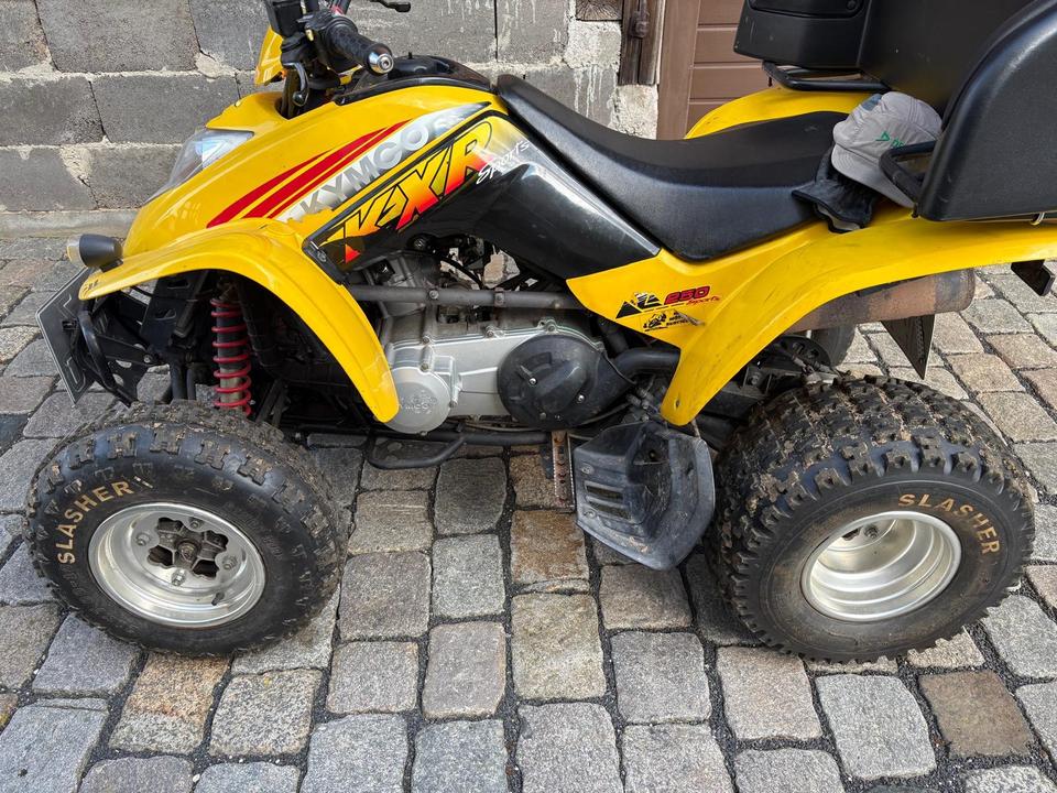 Kymco Quad Kymco KXR 250 2004 — interior