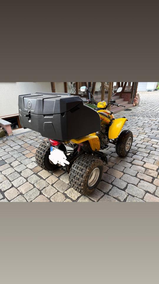 Kymco Quad Kymco KXR 250 2004 — engine