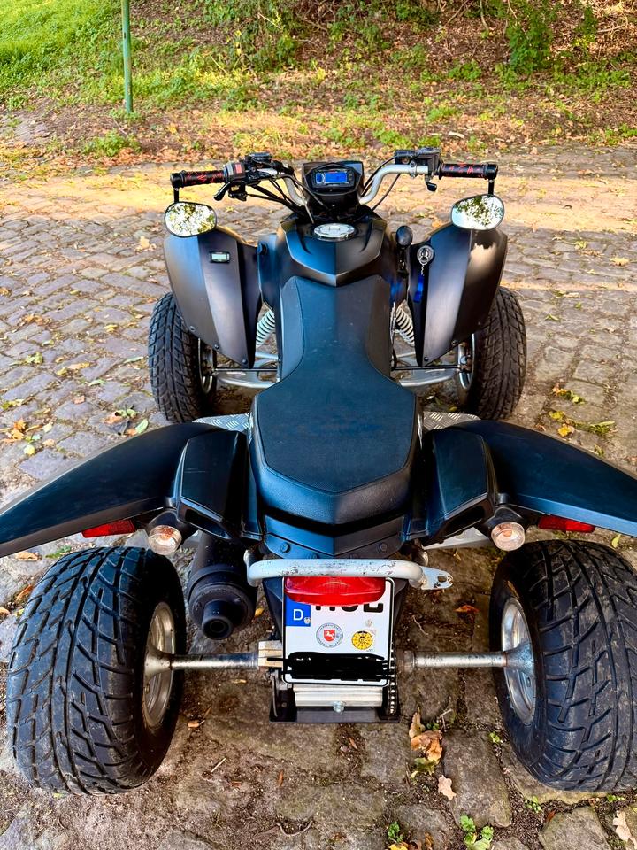 Weitere Motorräder Gelöscht • Triton Baja 300 SP300-S 2009 — rear view