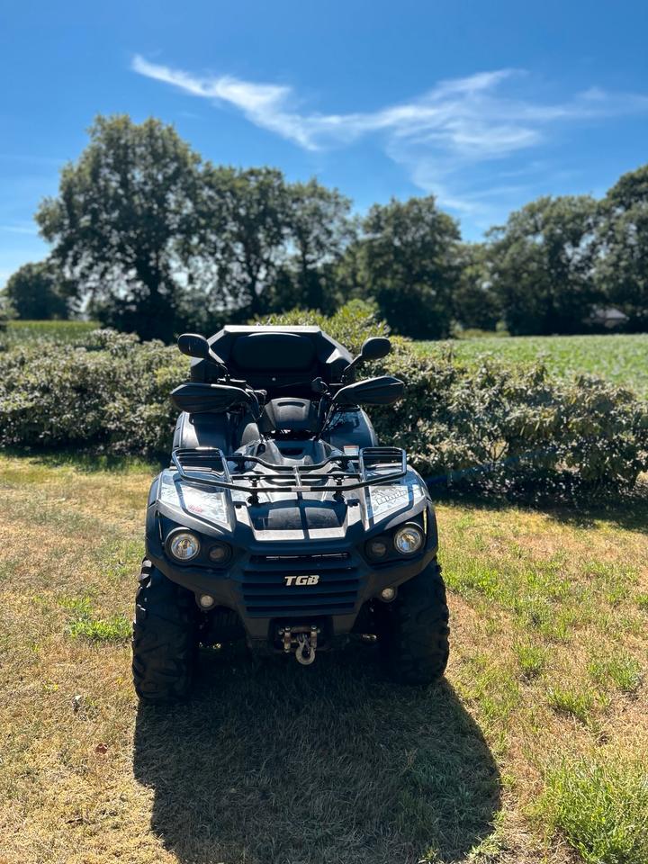 Weitere Motorräder Quad/ATV TGB Blade 500R 4x4 2013 — вигляд ззаду