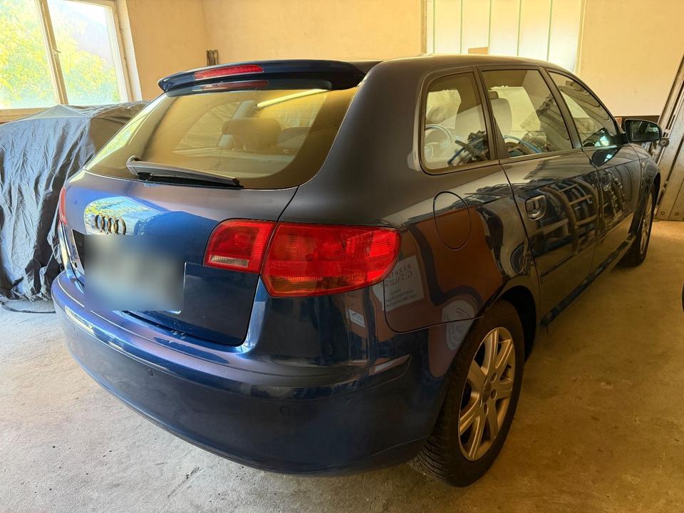 Audi A3 2008 — rear view