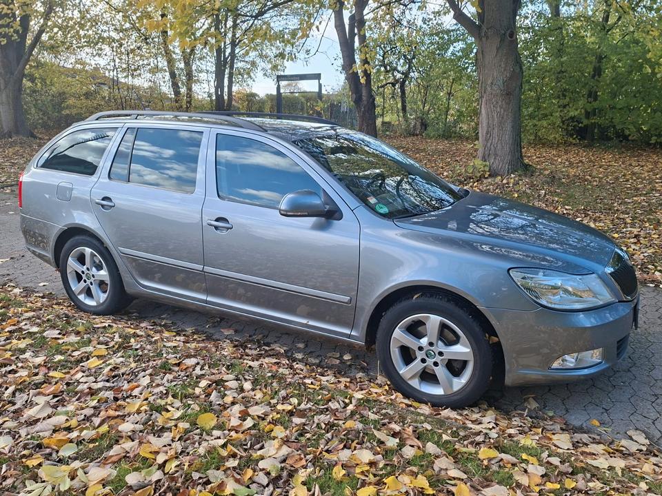 Skoda Octavia 2012 — rear view