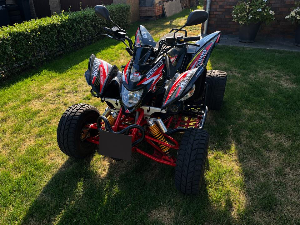  Aeon Cobra 400 Supermoto Quad 2014 — photo 11