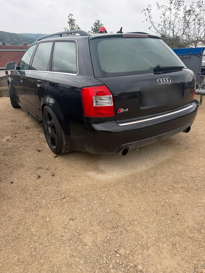 Audi A4 2004 — вигляд ззаду