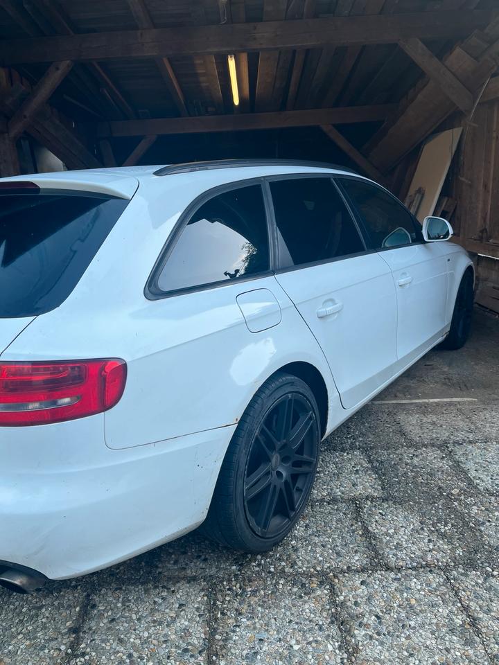 Audi A4 2009 — photo 12