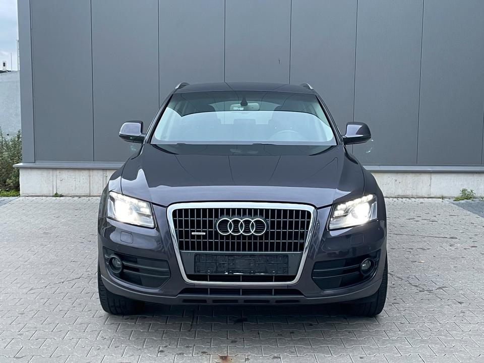 Audi Q5 2010 — rear view
