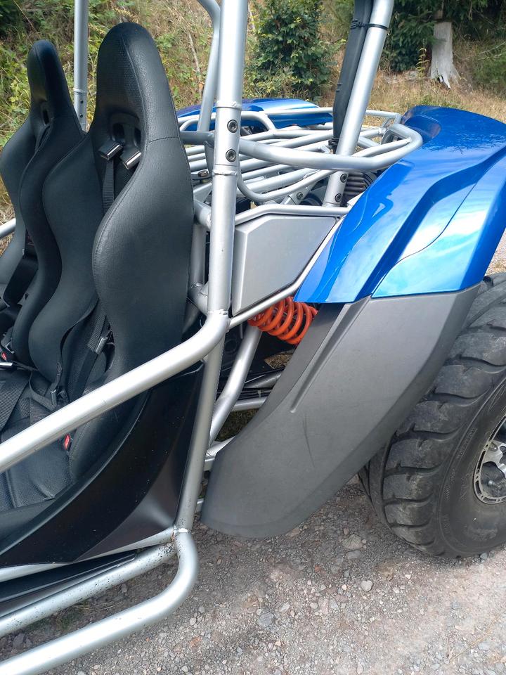 Weitere Motorräder Buggy PGO BR - 500 2009 — photo 6