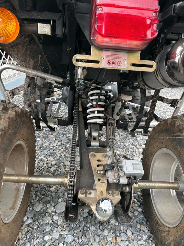Weitere Motorräder atv Lyda 250 2009 — вигляд ззаду