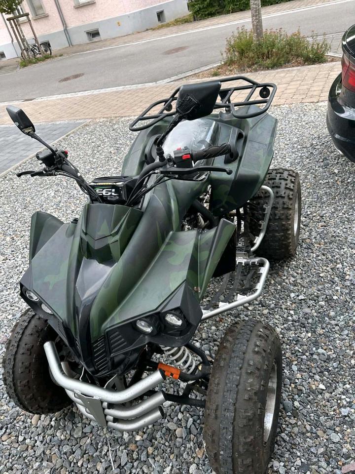 Weitere Motorräder atv Lyda 250 2009 — фото 5