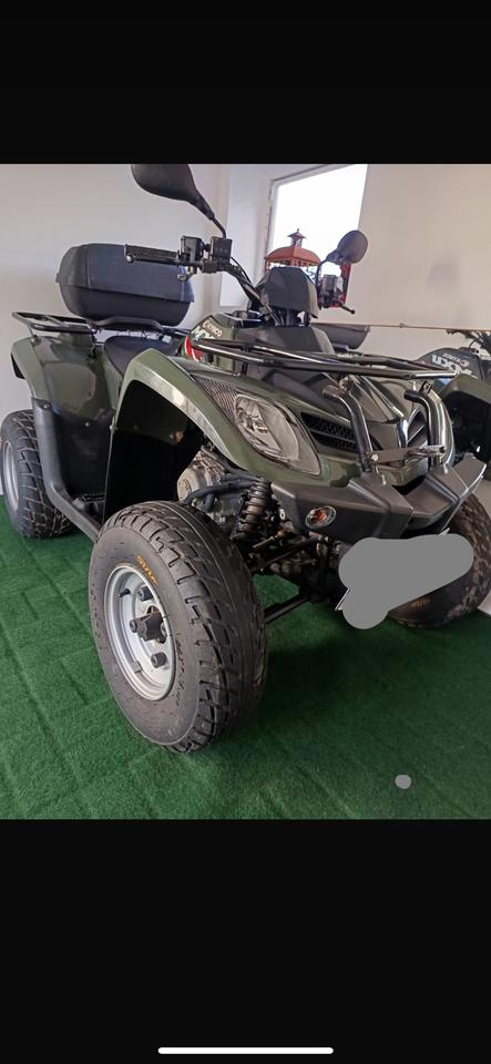 Kymco MXU 300 Quad 2009 — engine