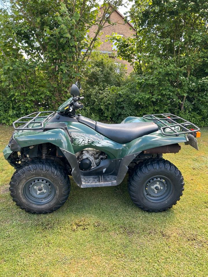 Kawasaki Gelöscht • Kawasaki KVF 750 Brute Force 4x4i TÜV 11/27 LOF 2.Hd, 2010 — вигляд ззаду