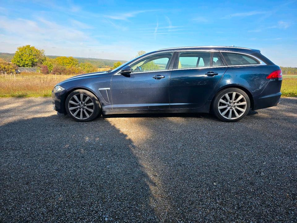 Jaguar XF 2013 — вигляд ззаду
