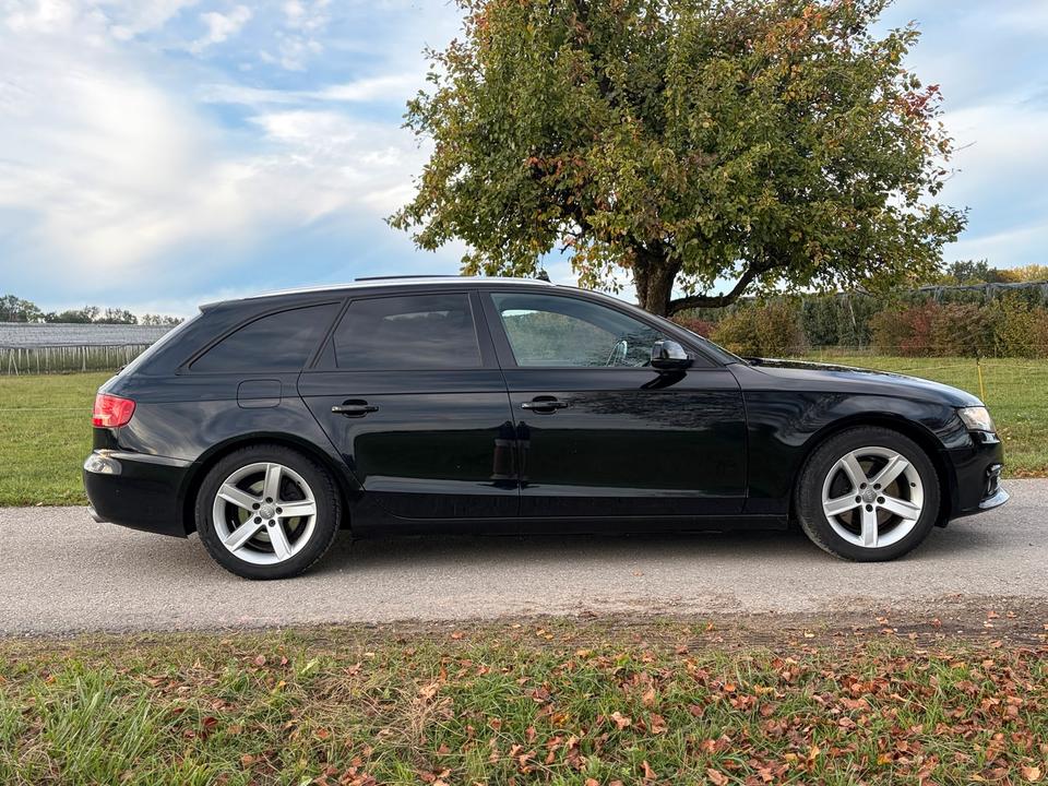 Audi A4 2010 — вигляд ззаду