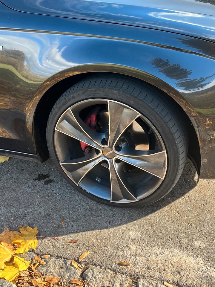 Audi A4 2008 — photo 8
