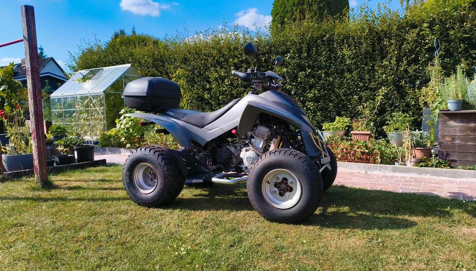 Weitere Motorräder Moin, verkaufe hier unseren Dinly Quad. 2010 — vehicle for AFU Ukraine