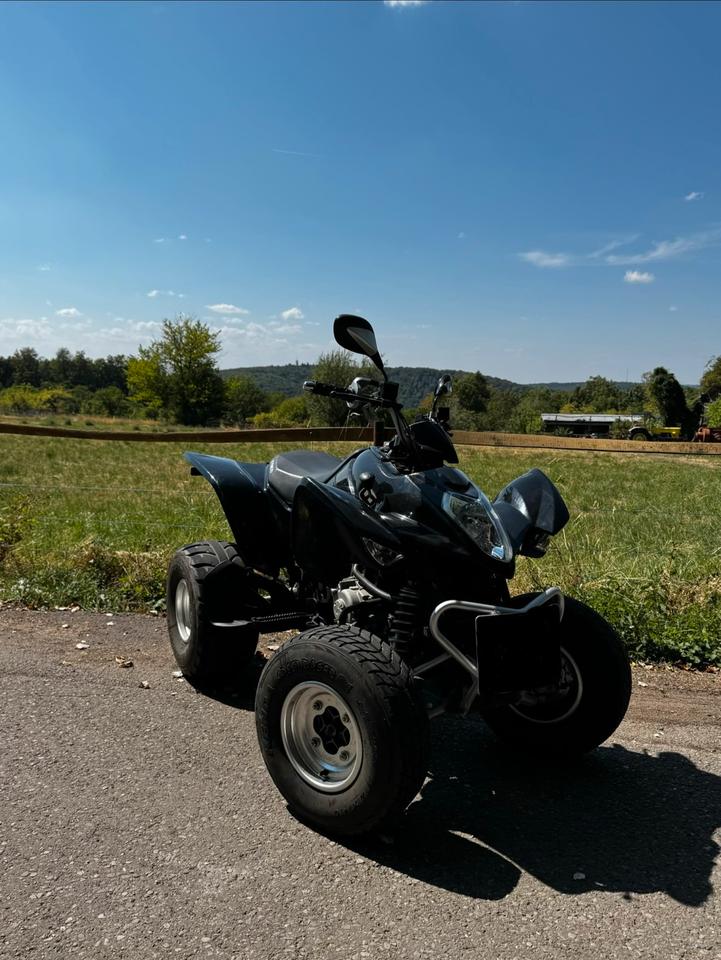 Kymco Maxxer 250 | 205 ps | 18 ps | TÜV Neu | 10.530 Km 2011 — interior
