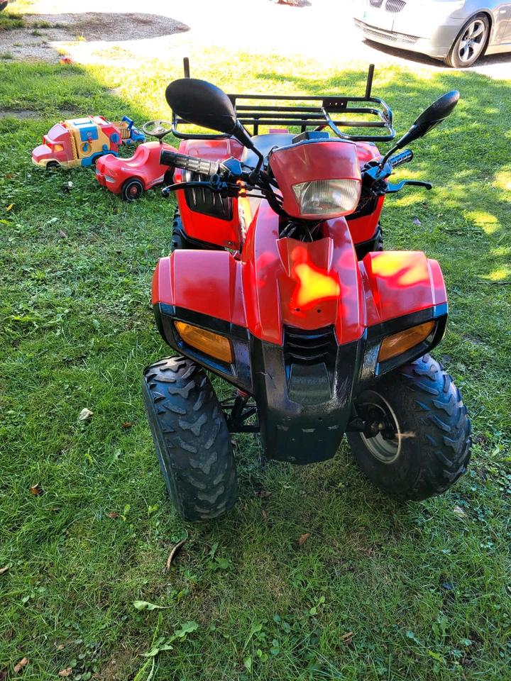  Quad Dinli Helix DL-603 2004 — салон