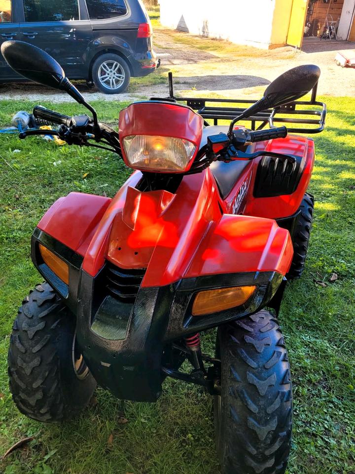  Quad Dinli Helix DL-603 2004 — двигун 100 ccm