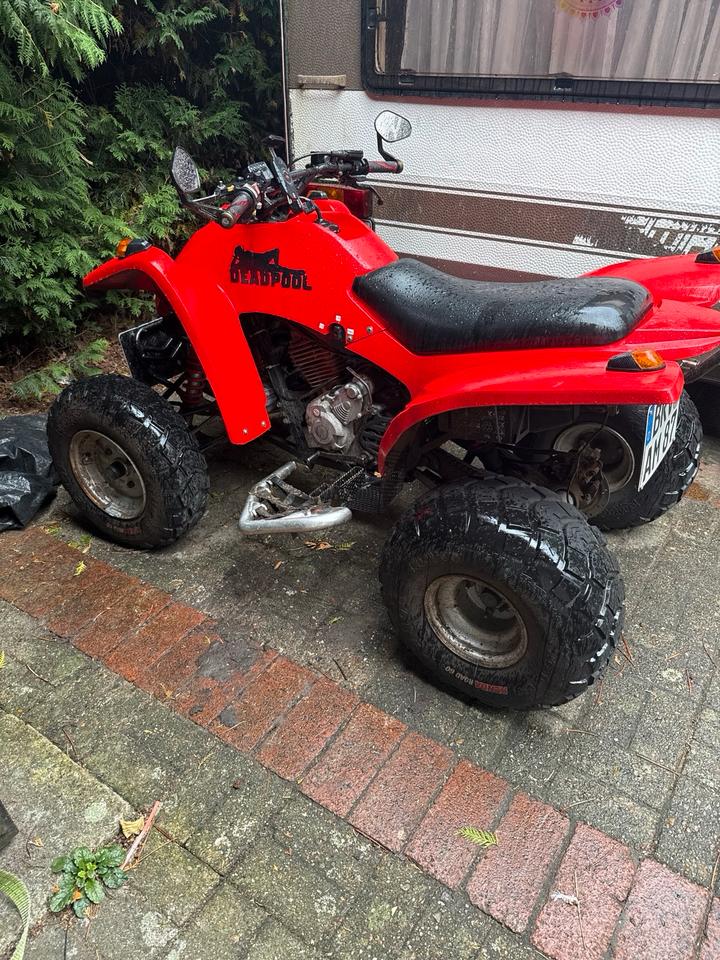  Gelöscht • Her Chee / Adly ATV 300 2004 — салон