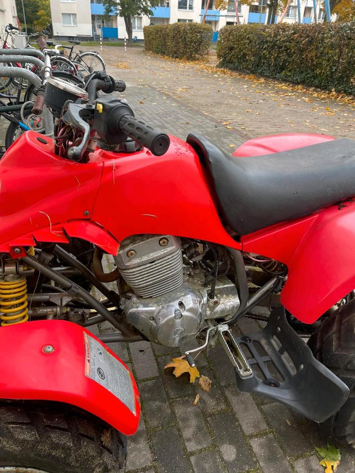 Weitere Motorräder Quad BAROSSA MOTOR 250ccm Mit AHK Seilwinde Tausch möglich 2004 — photo 6