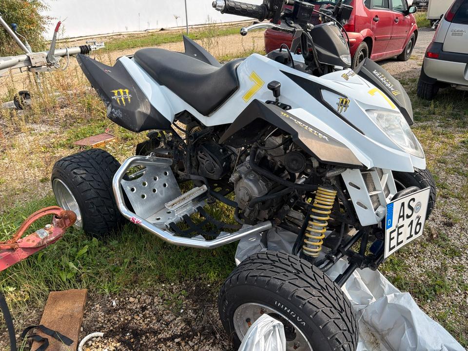 Weitere Motorräder Quad Articat 300 Kubik, 2008