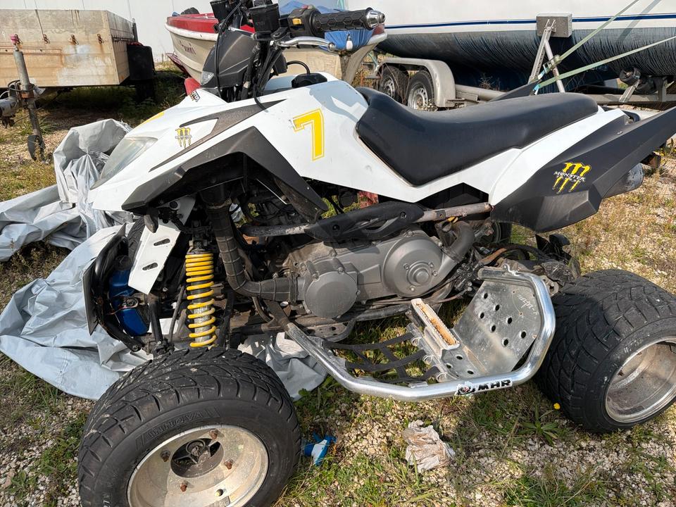 Weitere Motorräder Quad Articat 300 Kubik 2008 — rear view