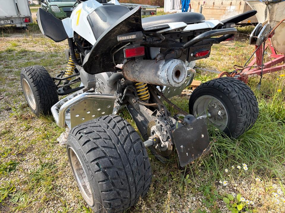 Weitere Motorräder Quad Articat 300 Kubik 2008 — engine 300 ccm