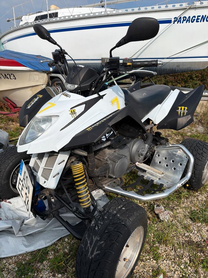 Weitere Motorräder Quad Articat 300 Kubik 2008 — photo 5